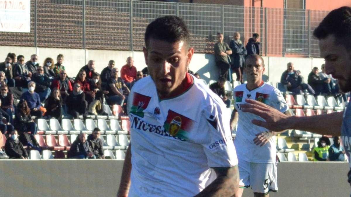 TeleBari - Partipilo, contatto nel fine settimana. Cerri non facile. Sondaggio per Pigliacelli