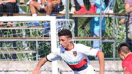 Michele Collocolo