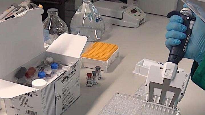 Gambotto, lo scopritore del vaccino anti-coronavirus: "In Usa da 25 anni ma il mio cuore è a Bari. Seguo tutte le partite..."