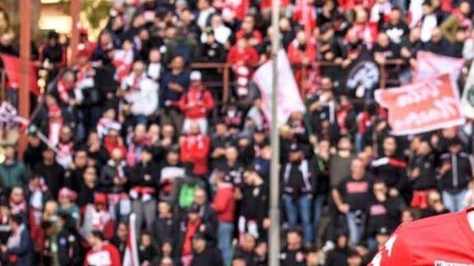 Ternana-Bari, le probabili: Perrotta e Maita dall'inizio. In attacco i titolarissimi