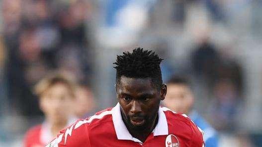 TuttoBari - Cissé non una priorità (per ora). Bolzoni e Simeri...
