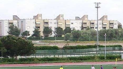 Bari-Fiorentina 