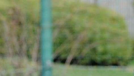 ESCLUSIVA - Ag. Minala: "Sette club interessati. Bari? In stand-by..."