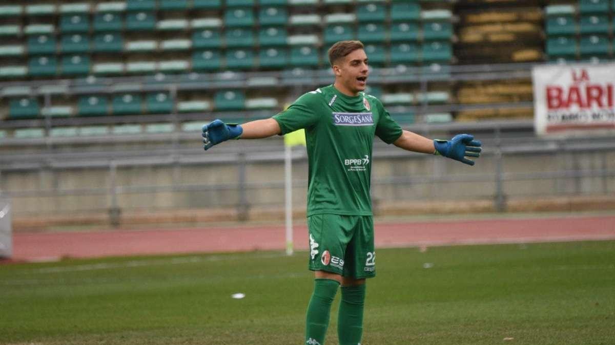 D CLUB 2018/2019, in nomination due galletti