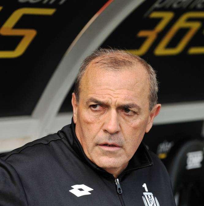 Castori allontana Bari: "Nessun contatto"