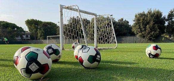 La giornata dei galletti - Esercizi e partitella, in gol due attaccanti. Il report