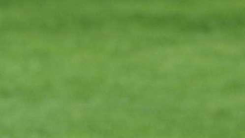 Pena: "A Terni arrivo pronto, ho voglia di dimostrare. I playoff..."