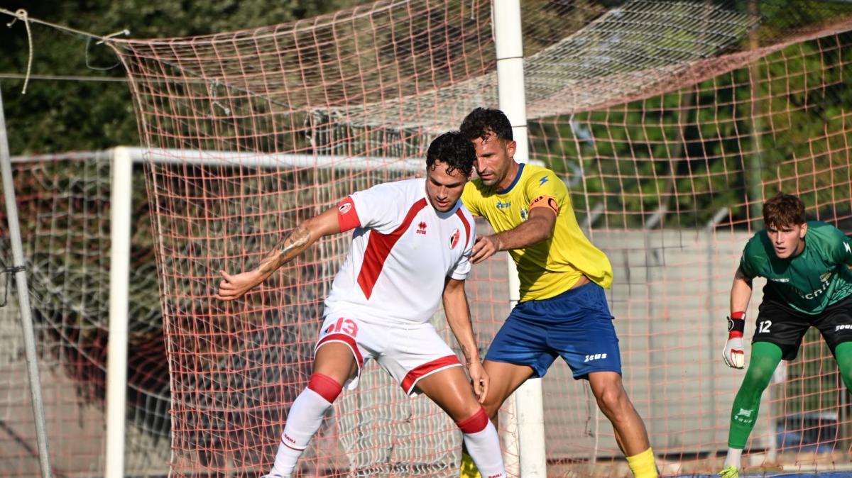 Bari, verso la prima di campionato: Grgić in regia, Mantovani il capitano. E Darboe ritrova spazio