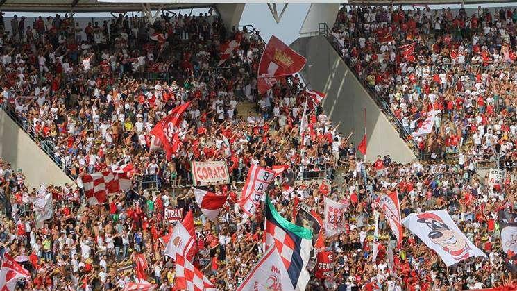 Bergossi a TuttoBari: "Due innesti per la A. Io e Brienza? Diversi..."