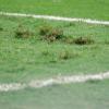 Immagine news Girone C n.1