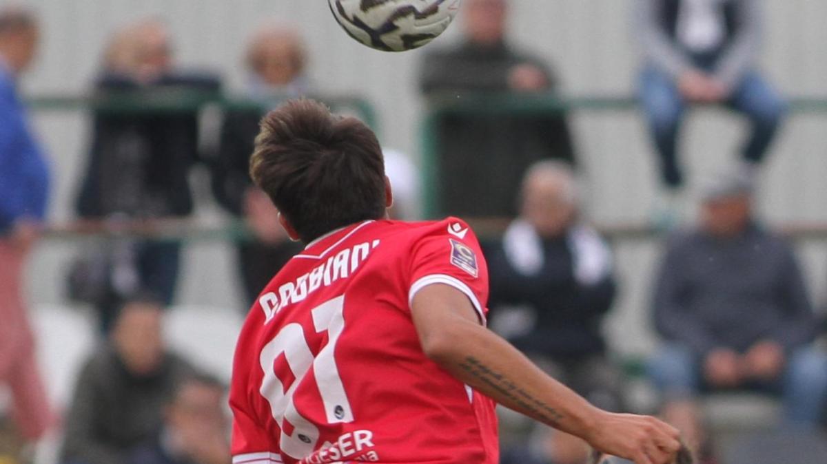 Gabbiani trascina il Livorno e incorona Lucarelli: "Ogni sua parola per me è oro colato"