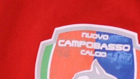 Campobasso, Baldassin è carico: "Non vedo l'ora di iniziare"