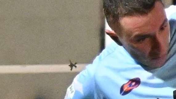 Legnago, irregolarità amministrative: inibito pres Venturato, multa al club