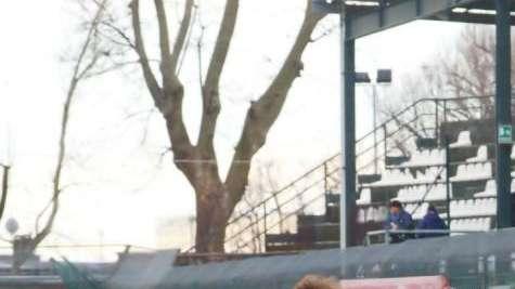 NOTIZIA TC Prato, Ceccarelli può volare in Serie B