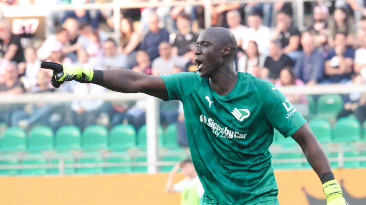 Calciomercato h24, tutte le ufficialità: Gomis è il colpo tra i pali della Vis