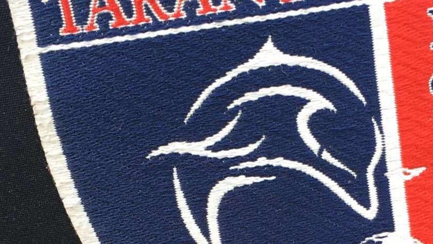 Vicepres. Taranto: "Sequestro probatorio della curva. Attendiamo verifiche"