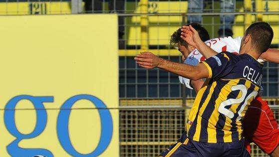 Bassano, in arrivo un difensore dalla B