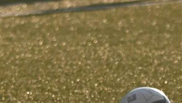 Sprofondo Triestina, torna a vincere il Renate. Vicenza, Perugia e Vis ok