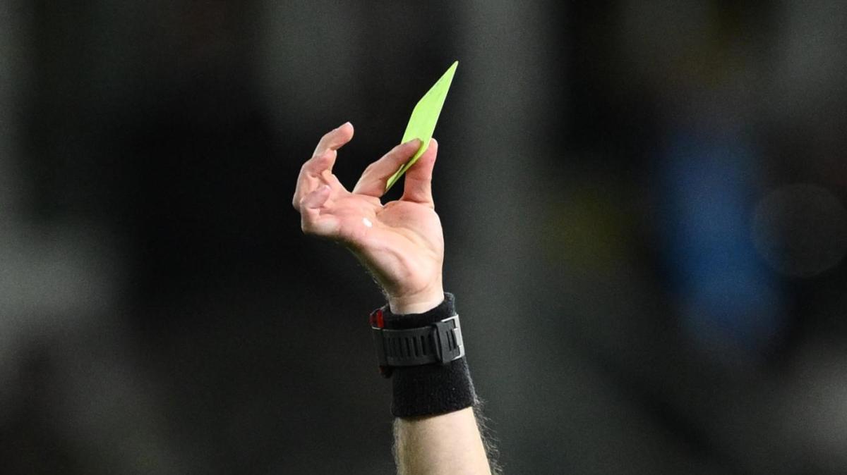 Prosecuzione Pineto-Reggiana: le decisioni del Giudice Sportivo