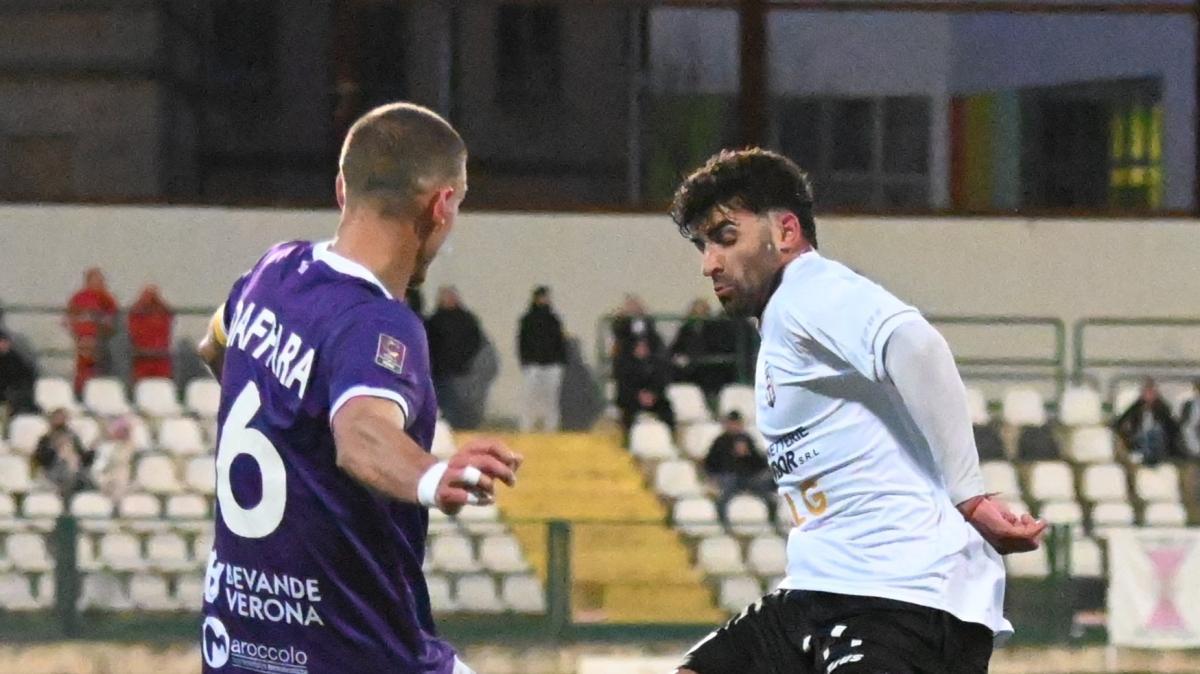 V. Verona, Daffara: "Stagione positiva, meritavamo classifica migliore"