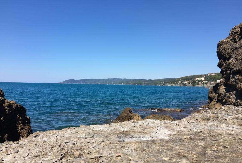 BUON FERRAGOSTO! SOLE, MARE E UNA PROGRAMMAZIONE SPECIALE SU TUTTOC DEDICATA AL MERCATO!