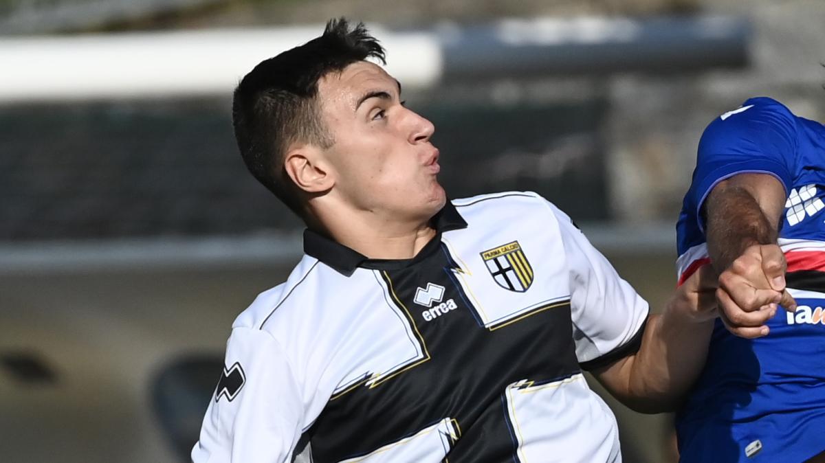 Dolomiti Bellunesi, Marconi: "Ultimi punti per salvarci. Assist Mignanelli splendido"