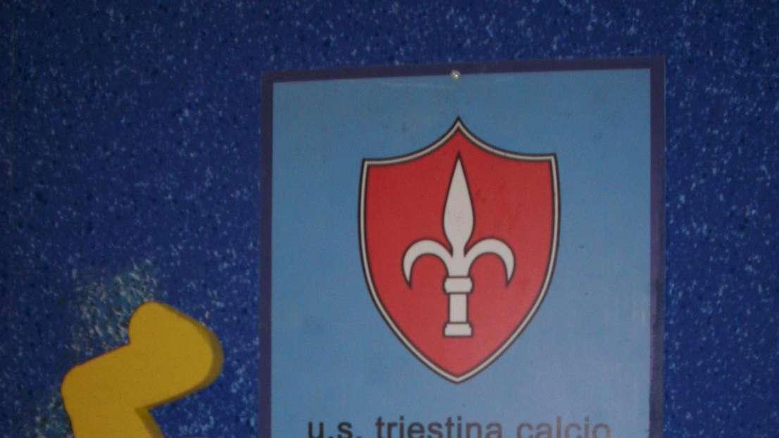 Il Piccolo: "Triestina, Tom Zelenovic è il nuovo presidente"