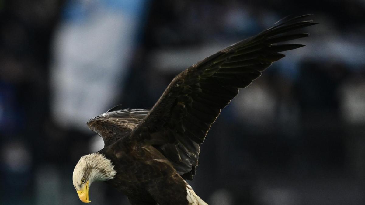 La Lazio pesca dal Benevento: vicino il giovane D'Alessio