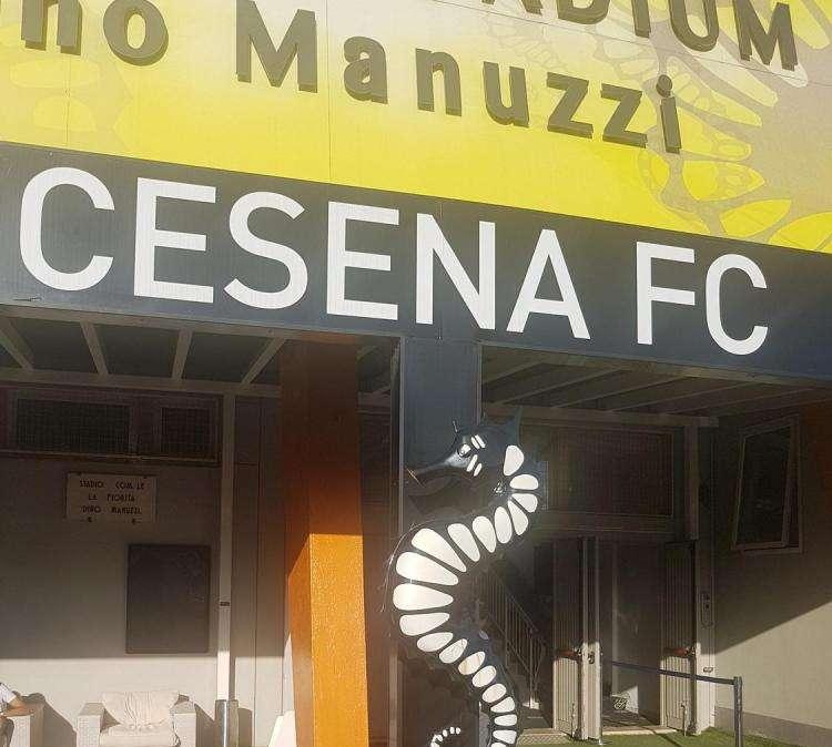 Cesena, nel mirino c'è il teramano Zecca