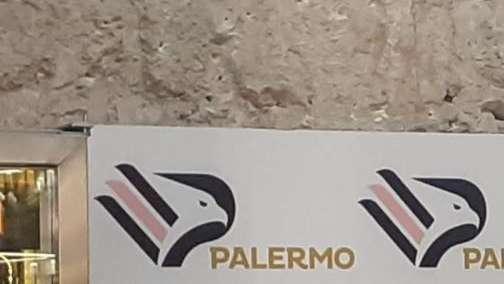 Palermo, Pergolizzi: "Caracciolo idoneo ma non per questo arriverà"