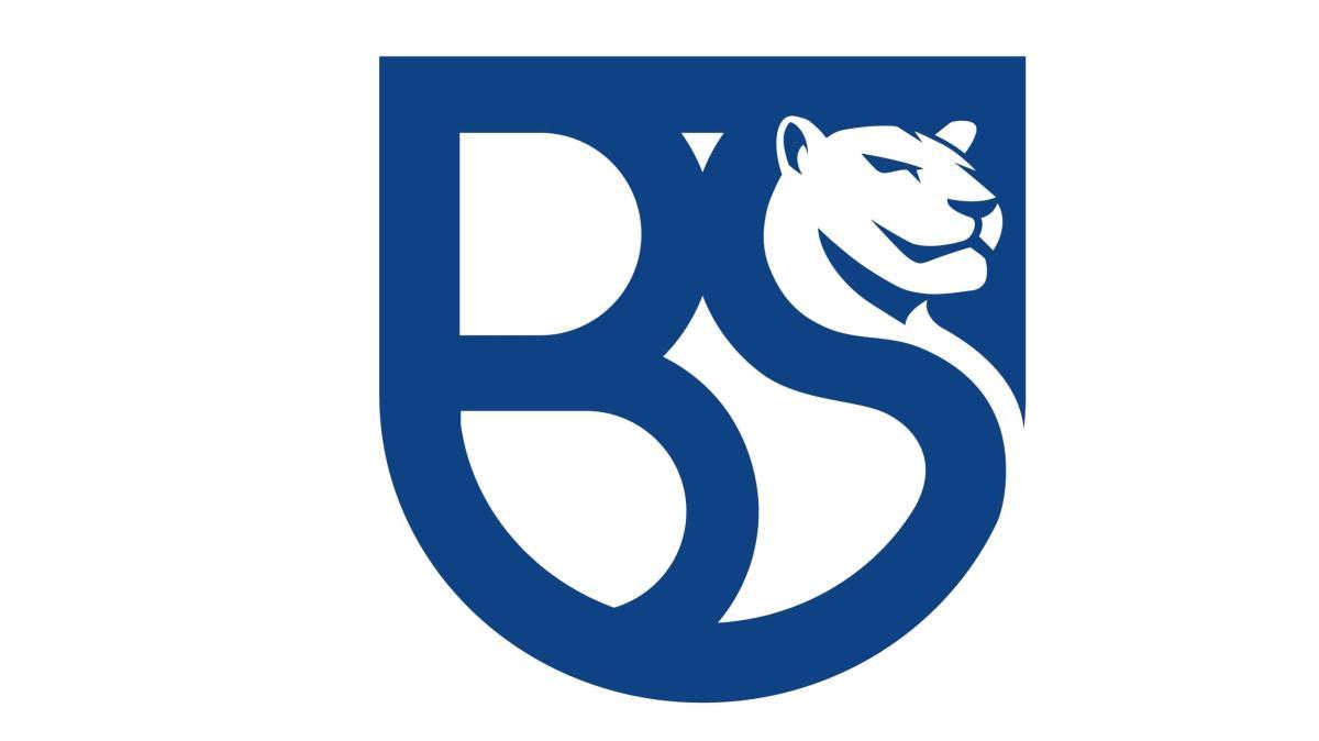 Top & Flop di Union Brescia-Desenzano
