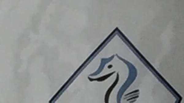 NOTIZIA TC - Albissola, accordo con Martignago: stasera le firme