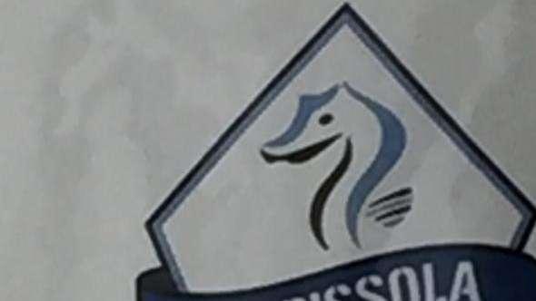 DS Albissola: "Mercato? A posto così. Ma vigili per occasioni"