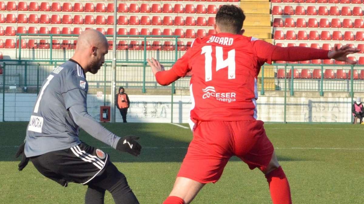 NOTIZIA TC - Virtus Verona, attesa domani la firma di Zugaro