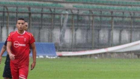 Monza, Sinigaglia a TLP: "Non sono il sostituto di Gasba. Presto per definire i valori in campo, ma l'Alessandria..."