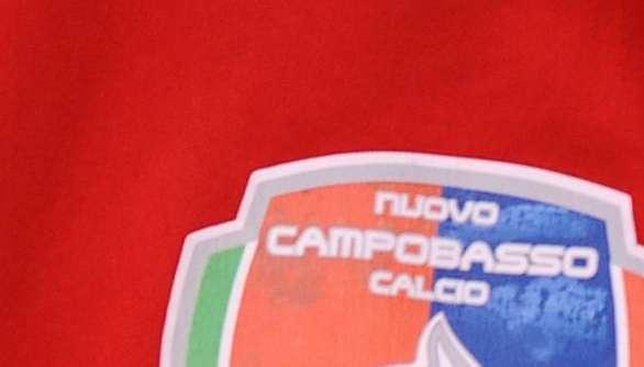 Campobasso, Dg Ciccone a TLP: "Salvezza? Miracolo di tutti. Ecco i giovani del futuro" 