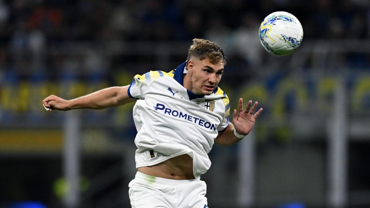 Minotti: "Pellegrino, nel complesso, lo preferisco a Piccoli"