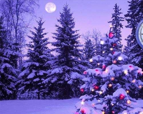Buon Natale da TuttoCagliari.net !