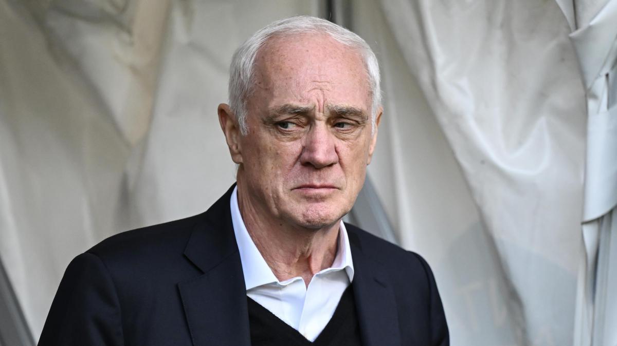 Atalanta, Percassi: "Tenere Palestra? Vedremo"