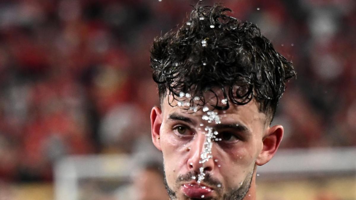 Ze Pedro a Dazn: "Mina è stato molto importante nell'integrarmi e farmi crescere"
