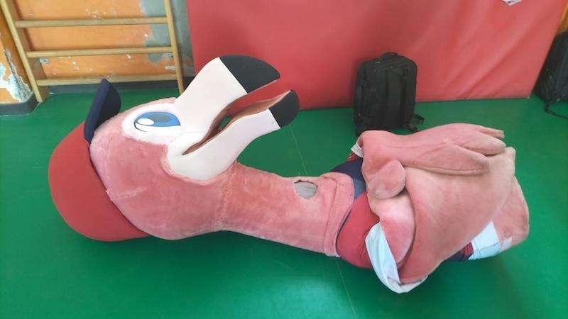 Il Cagliari sui social: "Abbiamo ritrovato Pully!!"