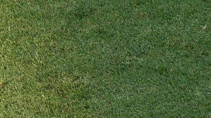 Le pagelle del CorSport: 7,5 per Pisacane, Vinciguerra migliore in campo