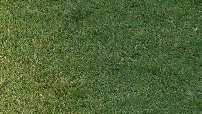 Primavera 1 - Anticipi e posticipi dalla 28^ alla 30^: ecco quando giocherà il Cagliari
