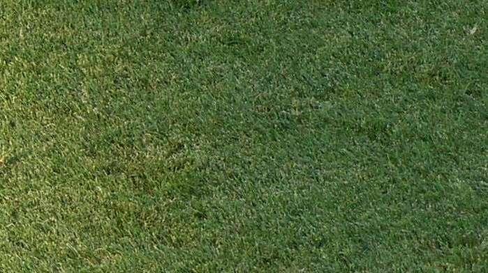 Primavera 1 - Anticipi e posticipi della 31^ giornata: Cagliari-Lecce si gioca di sabato