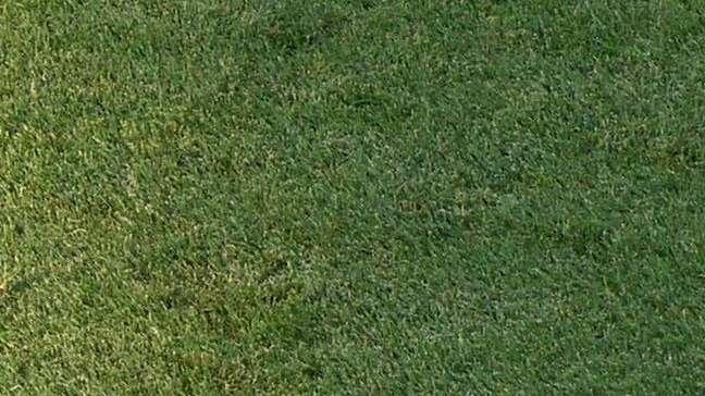 Primavera, ora il Cagliari di Pisacane punta in alto: il secondo posto è a soli tre punti
