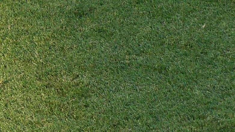 Primavera 1 - Pisacane: "Vittoria che dà concretezza al lavoro dei ragazzi"