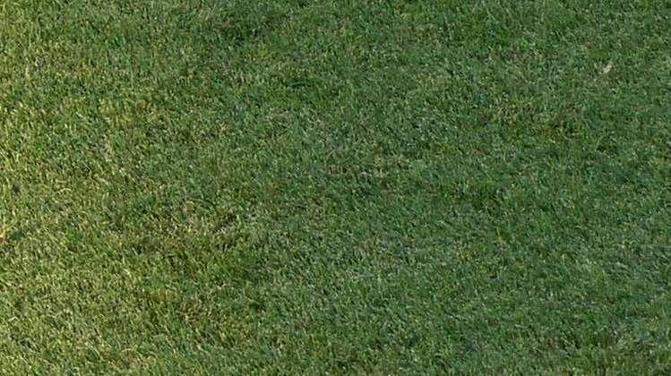 Primavera 1 - Sabato Cagliari-Lecce: la designazione arbitrale