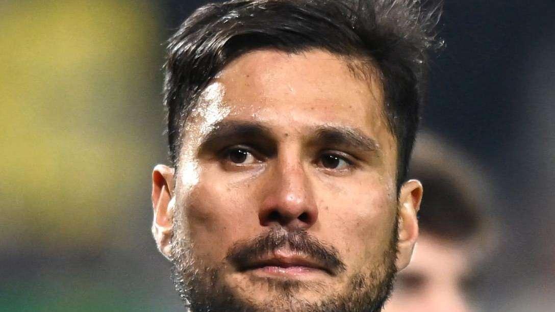 L'Unione Sarsda - Sempre più Palomino nel Cagliari