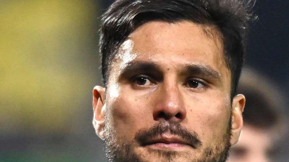 Gazzetta - Zappa travolgente, Palomino non dà mai sicurezza. Nicola dà carattere e gioco
