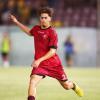 Reggina, frattura alla clavicola per Andrea Palmieri